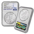 1 oz American Silver Eagle Coin V166716