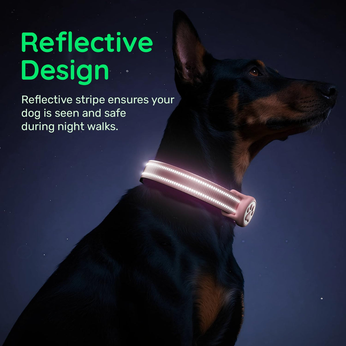 Pink IP68 Waterproof Dog Collar N526731