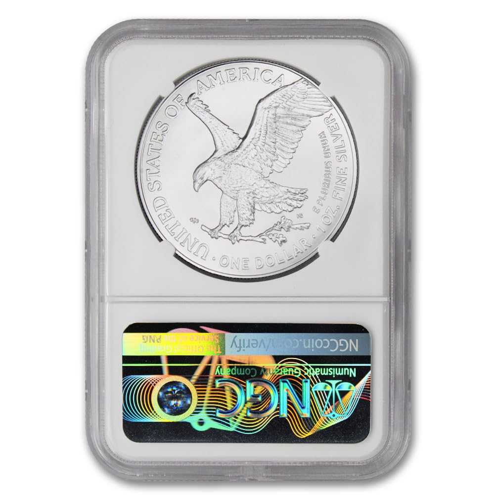 1 oz American Silver Eagle Coin V166716