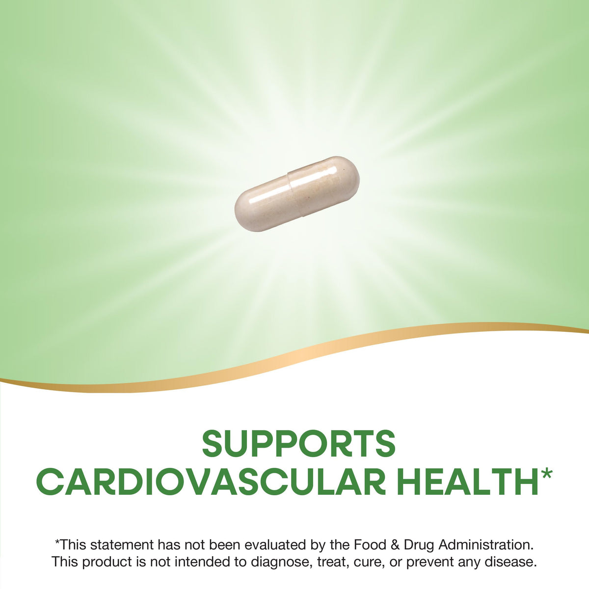 Garlic Bulb Capsules 580mg 100 ct B5831
