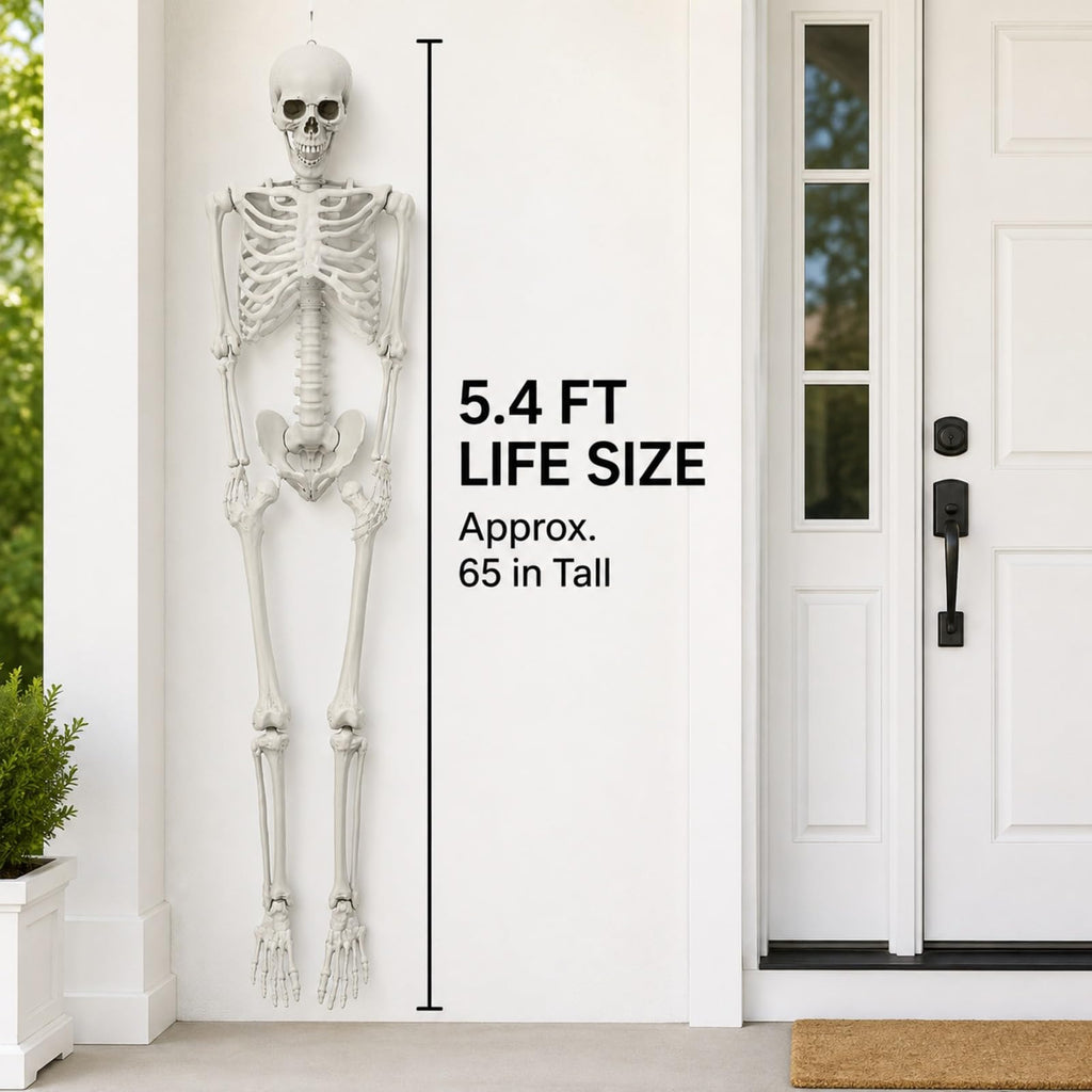 Life Size Posable Skeleton S374410