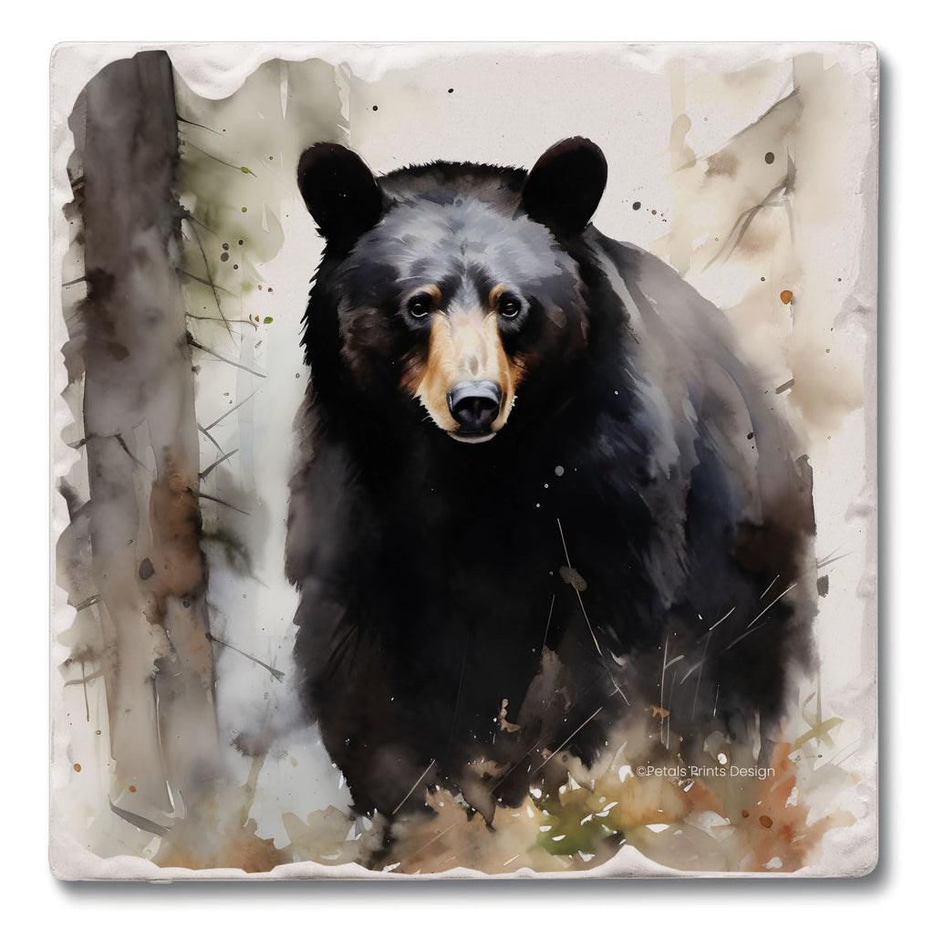 Absorbent Stone Coasters, Set of 4 A630