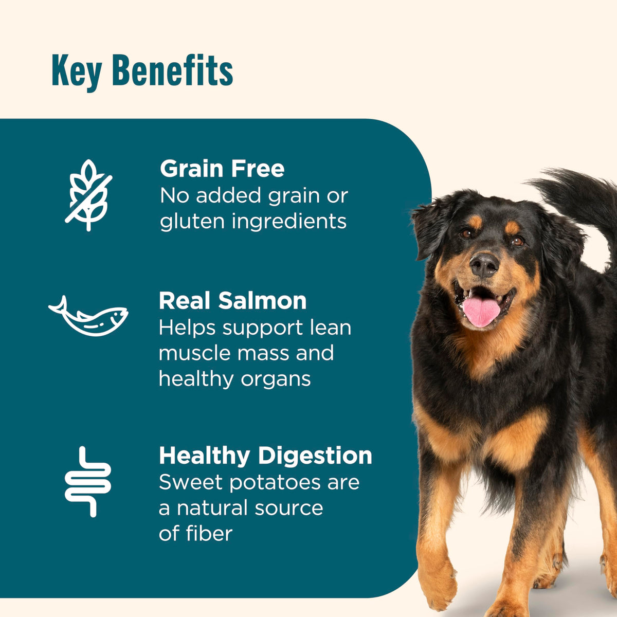 Grain Free Salmon Dry Dog Food 23 lb. Bag Y96027