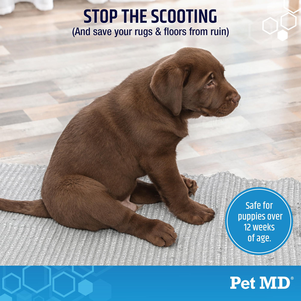 Dog Anal Gland Chews with Pumpkin and Fiber 60ct B555