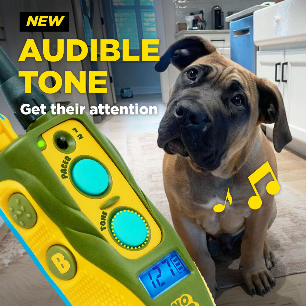 Waterproof Dog Training Collar with Remote L720201