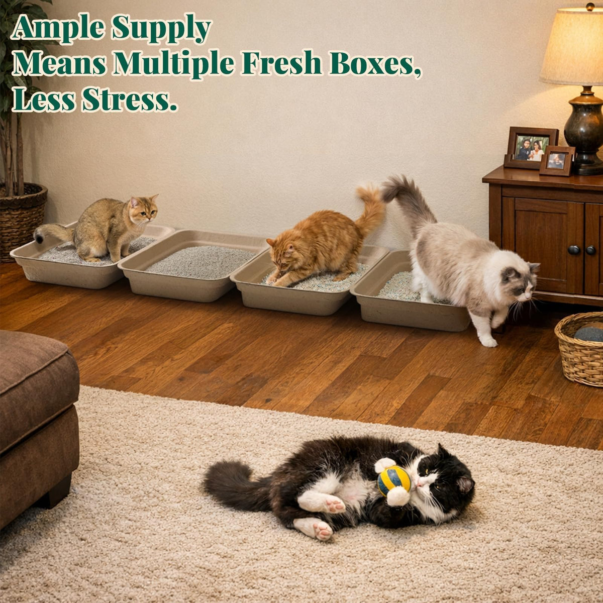 10-Pack Disposable Litter Box Q5657