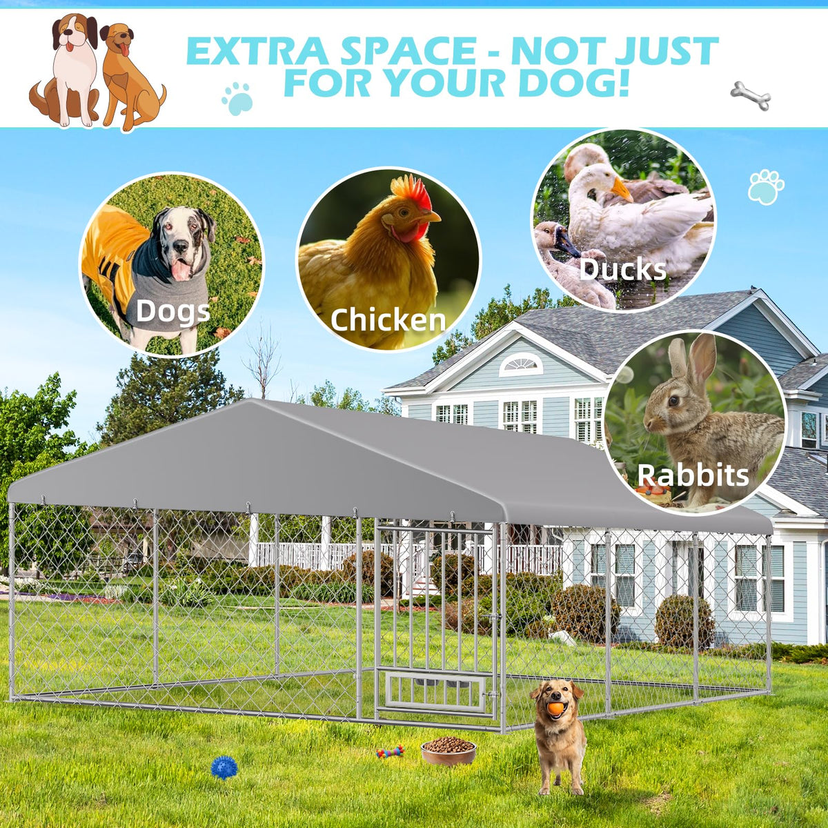 20'x10' Outdoor Dog Kennel with Roof M311