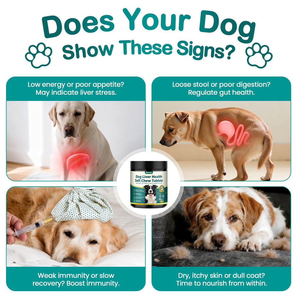 Milk Thistle Supplement for Dogs with Curcumin Choline Fish Oil Prebiotics Chicken Flavor Z188