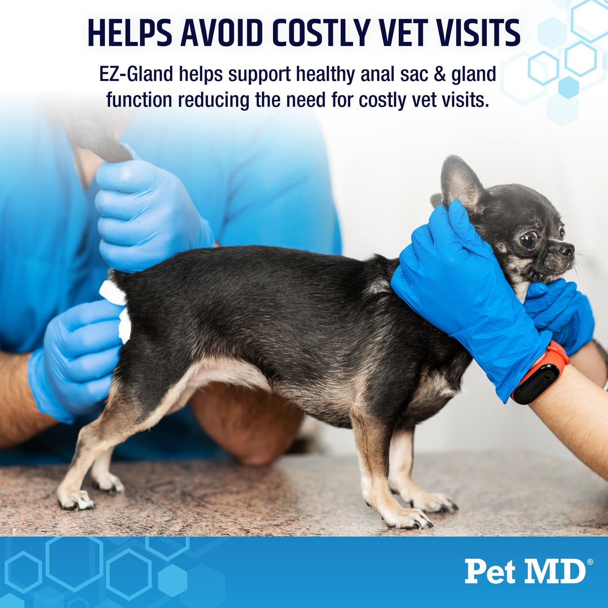 Dog Anal Gland Chews with Pumpkin and Fiber 60ct B555